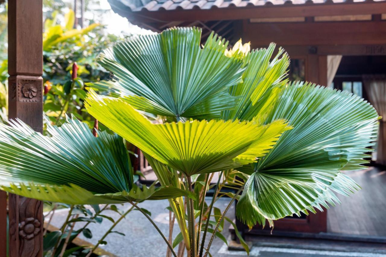 Villa Waturenggong Ubud Экстерьер фото